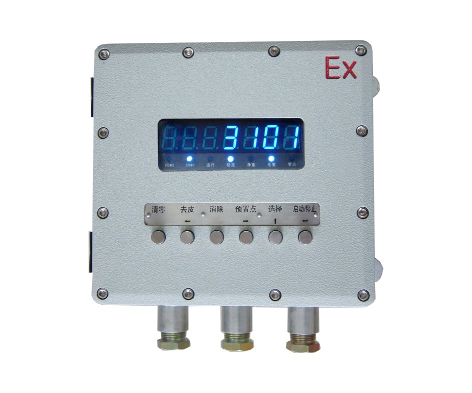仪表 Ex-XK3101C1