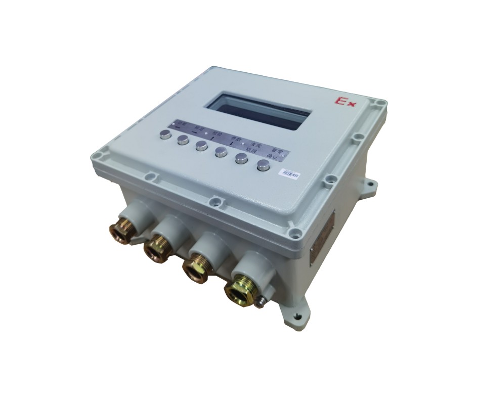 仪表 Ex-KL3101-D5