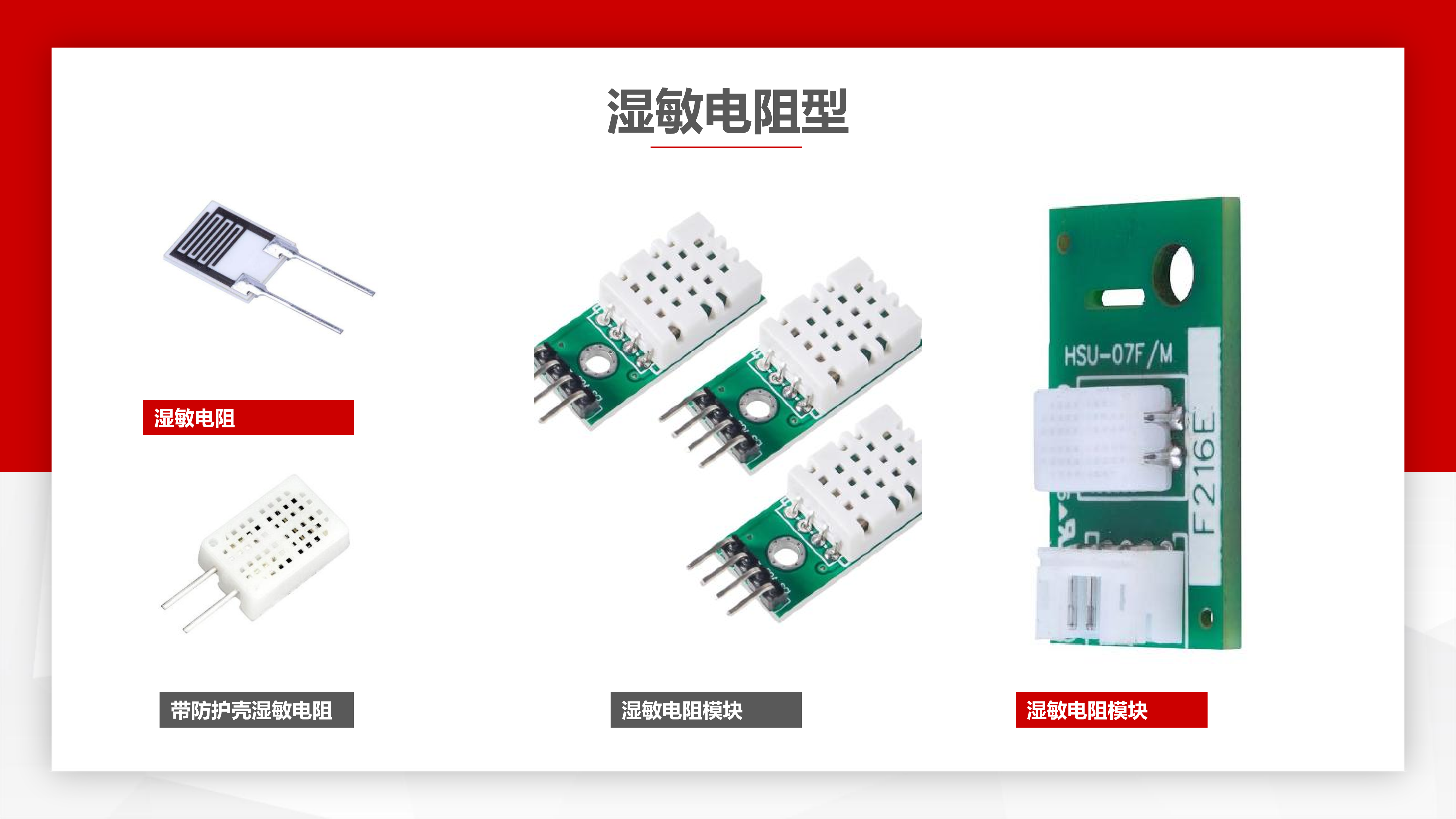 3.赵晓辉%20%20%20RPD瑞比德公司介绍PPT板2025(1)[1]_11.png
