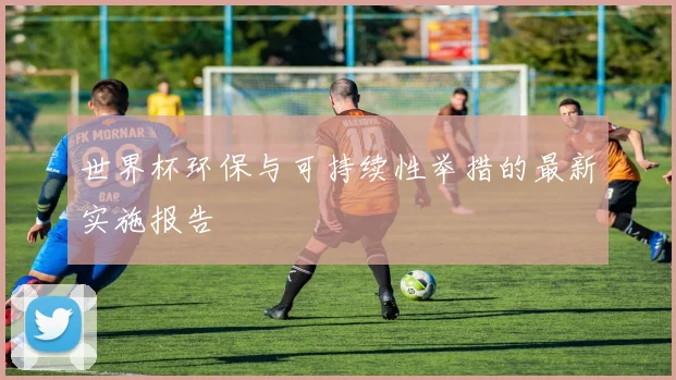 世界杯环保与可持续性举措的最新实施报告