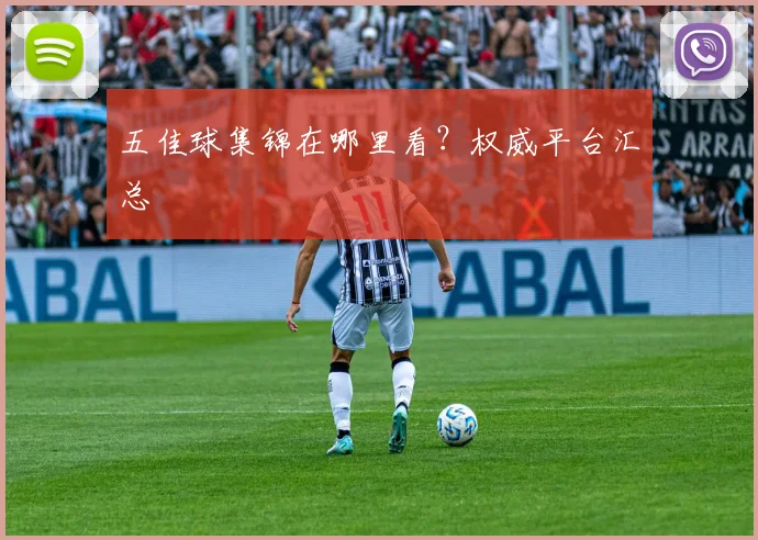 五佳球集锦在哪里看?权威平台汇总