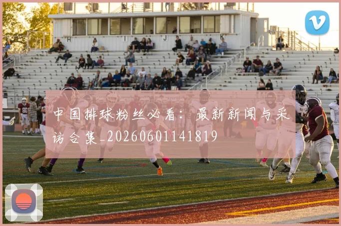 中国排球粉丝必看：最新新闻与采访合集_20260601141819